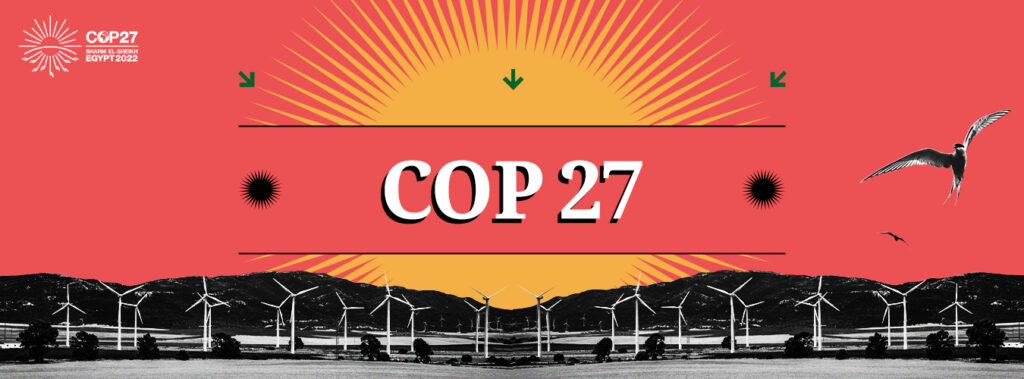 COP27: Adaptation without mitigation